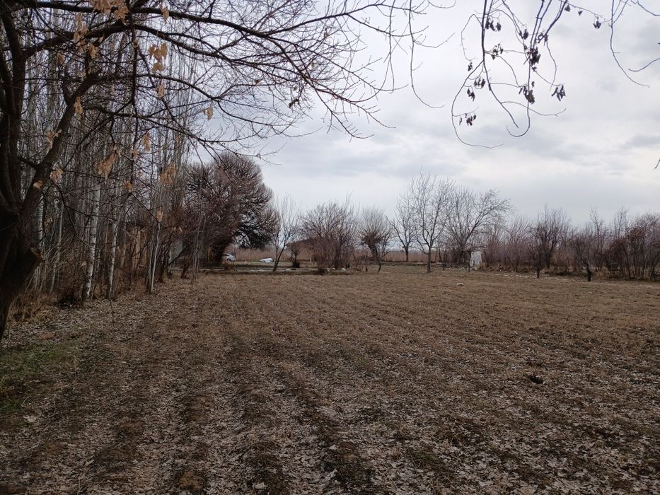 Нотурар йер сотилади!