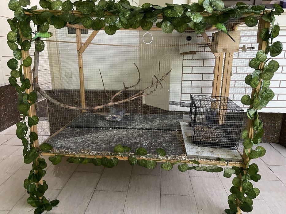 1 ga 1 yarim qafas qushlarga