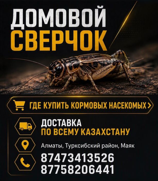Сверчек кормовой !!!