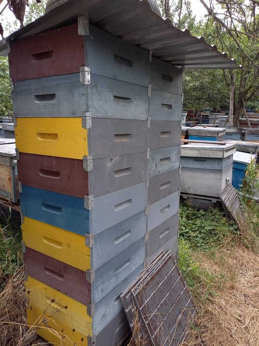 Vand 800 de magazii 1/2 de 12 rame.