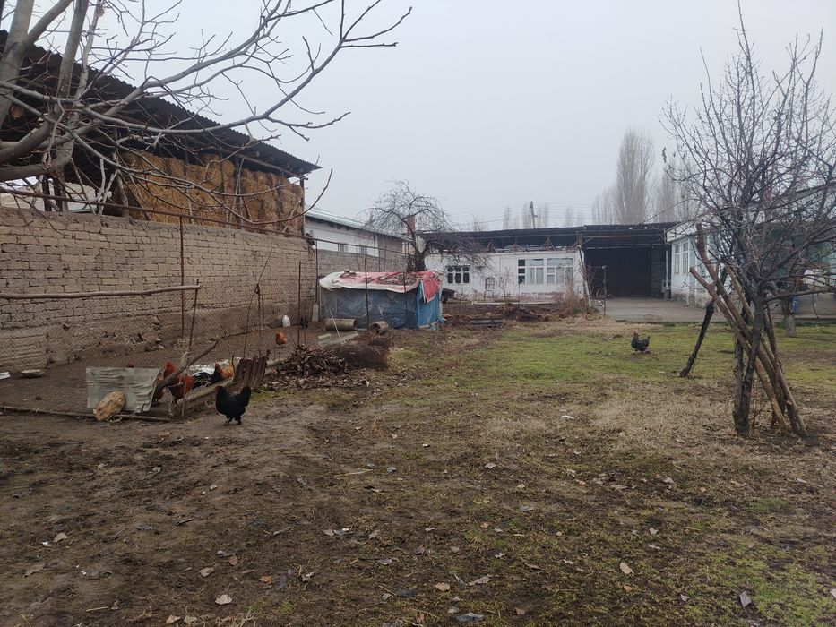 Uchastka sotiladi 4 sotx gaz svet suv bor