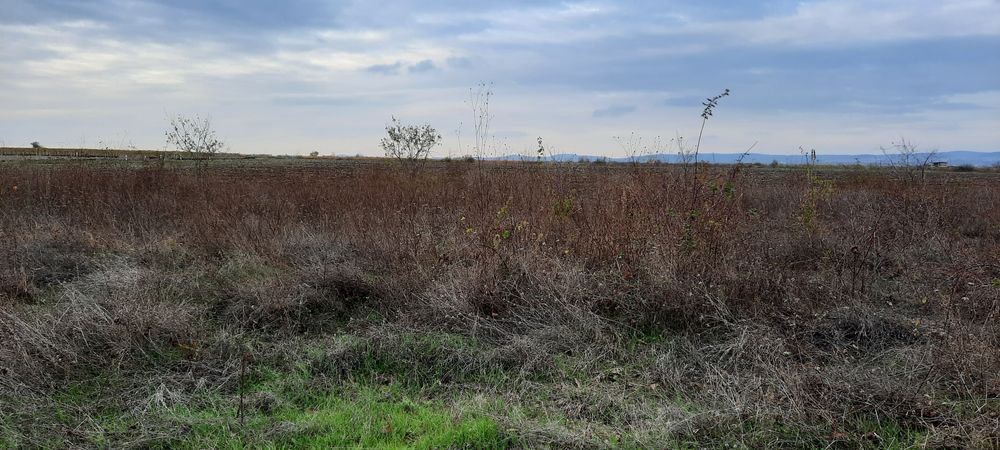 Парцел земеделска земя