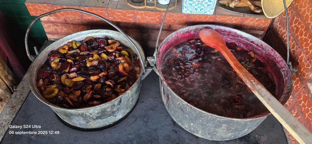 Borcan de 780 g Gem,magiun prune 100% bio