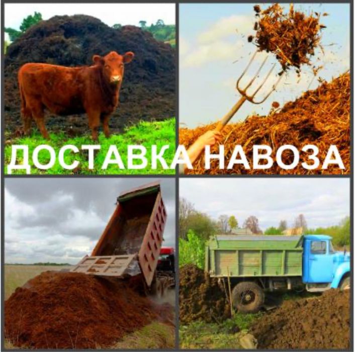 Продам навоз.