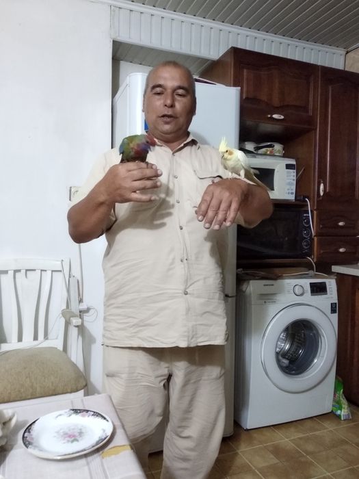 Пенантовая розелла и капелла ручные продаются