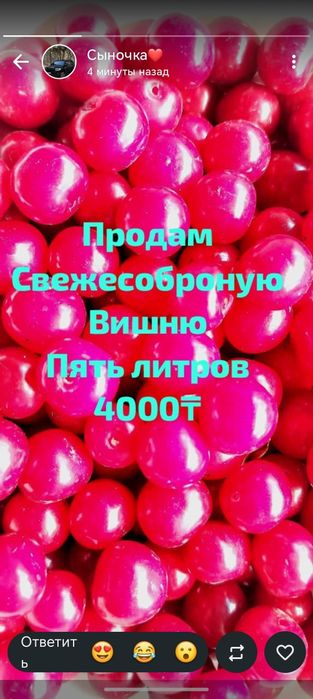 Продам свежесобранную вишню