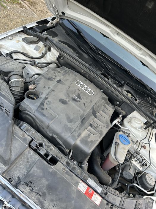 Audi A4 B8 2010 Alb
