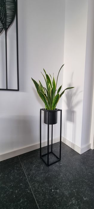 Decoratiuni - diverse