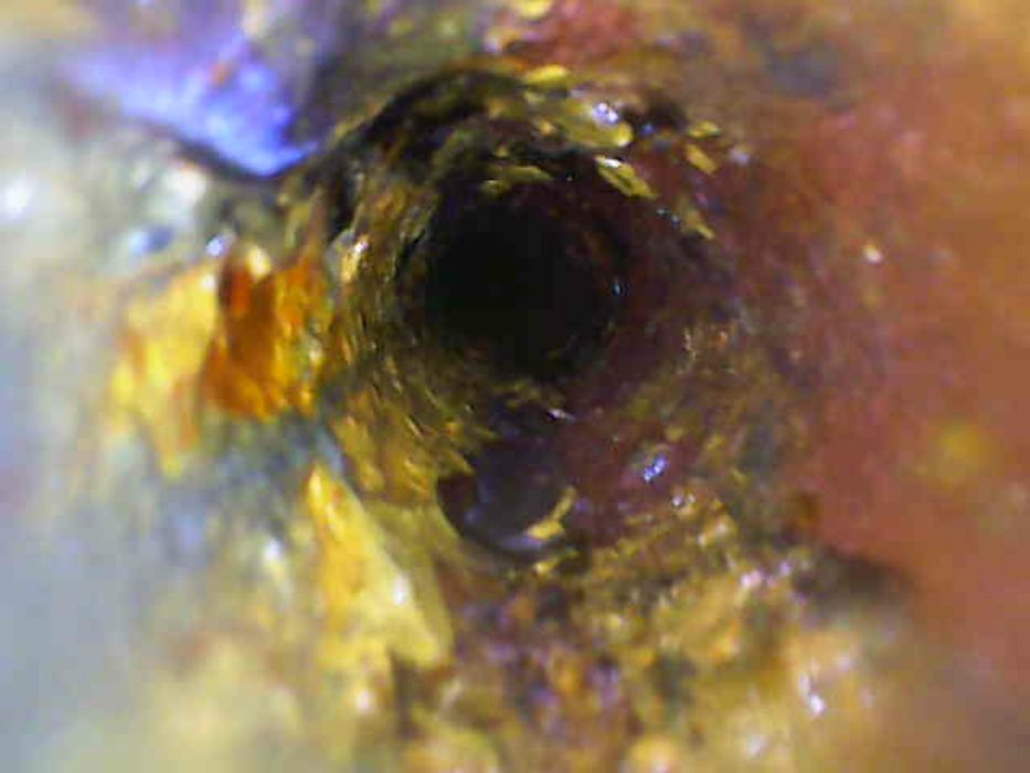 Эндоскоп, фото-видео, қызметі