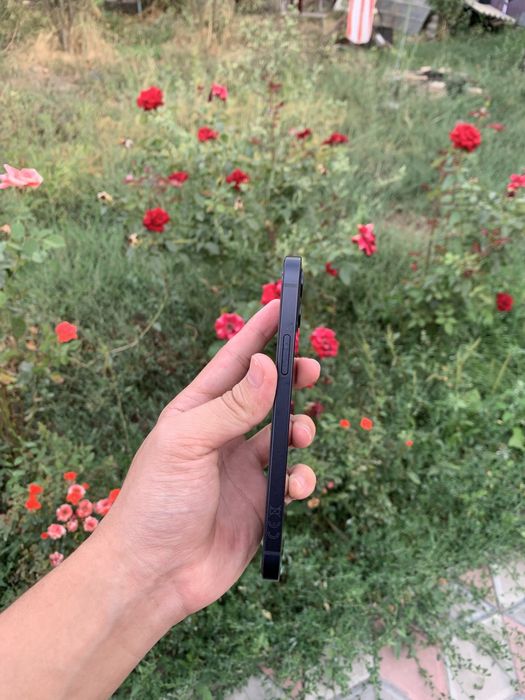 iPhone 12 black.