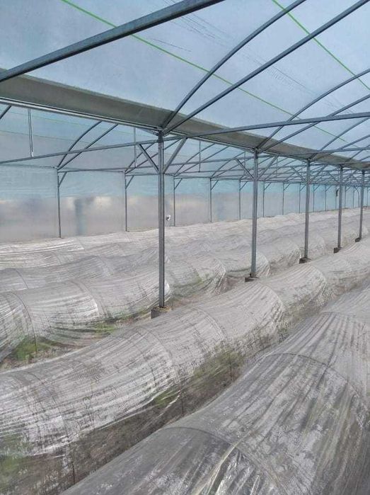 Иссиқхона. Теплица. Парник. Иссикхона.