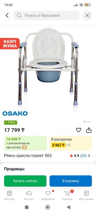 Кресло - туалет .