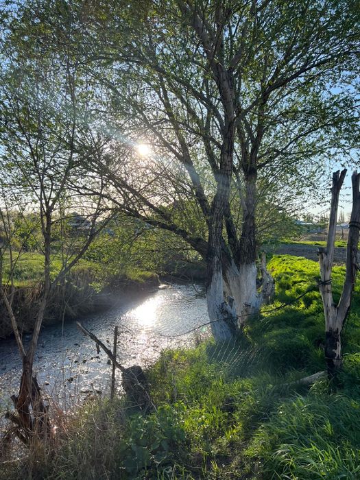 Частный дом  1 этажный