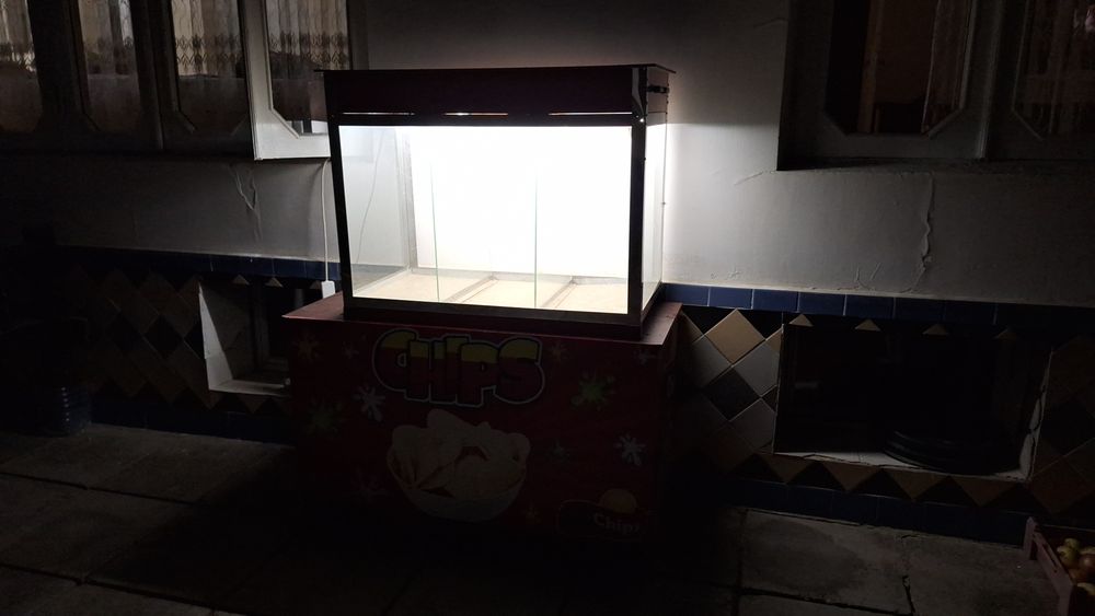 Biznes Chipis vitrina