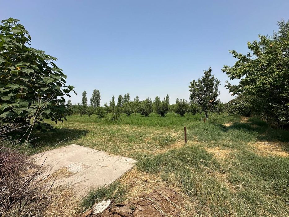 Срочно продается участок-ранчо 32 сотки Янгиюль Захарьевский