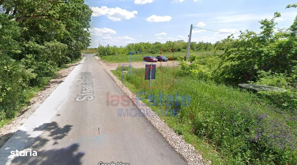 Ocazie! Valea Ursului  langa padure TEREN 2840mp  cu toate utilitatile