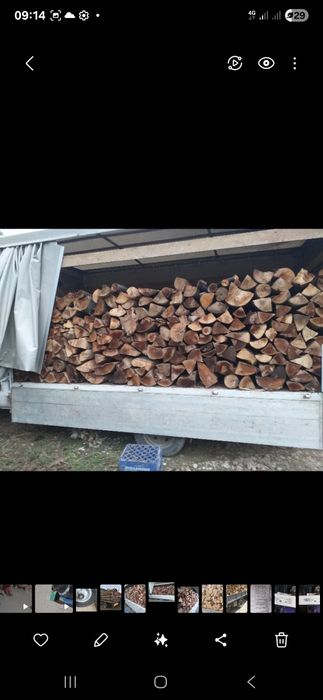 Lemne foc fag și cherestea