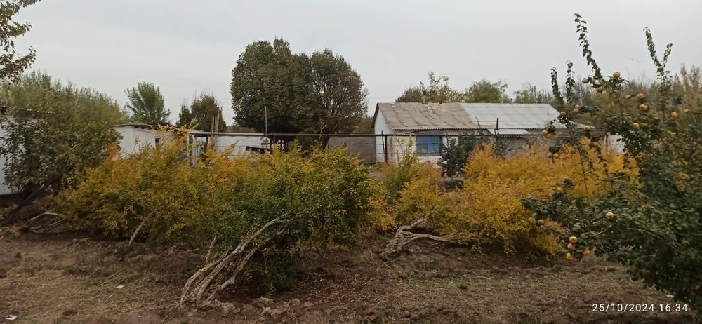 Boyovutda uy sotiladi