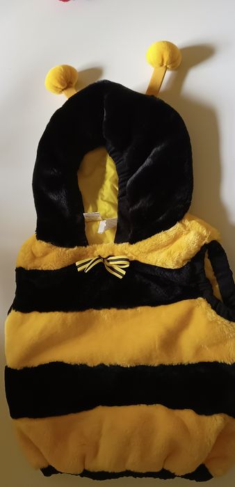 Vesta buburuză și albinuța,copii până în 4ani