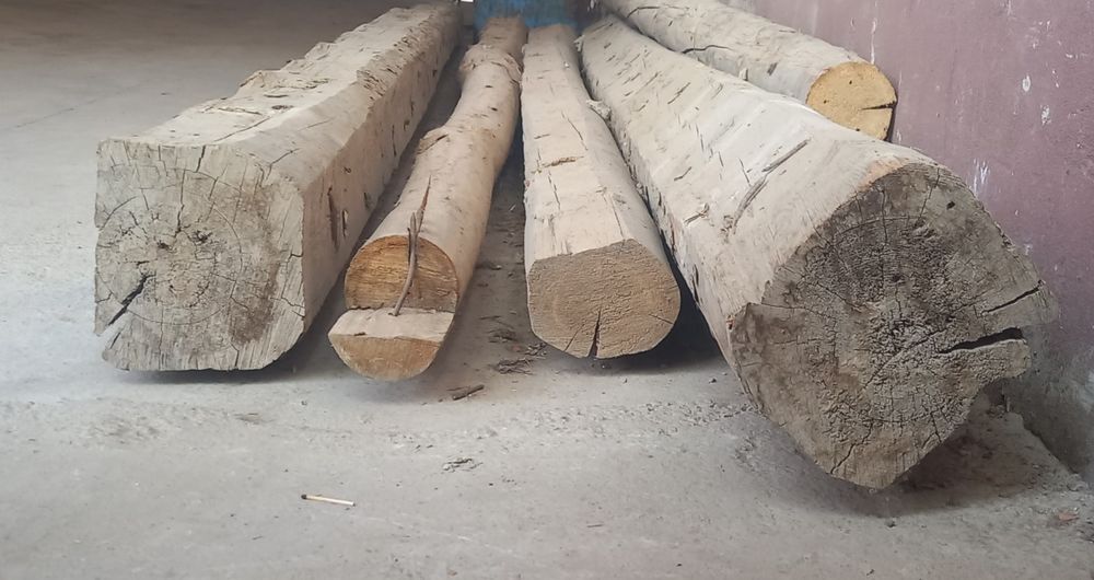 Tosinlik 4.5 metrlik sasna sotiladi