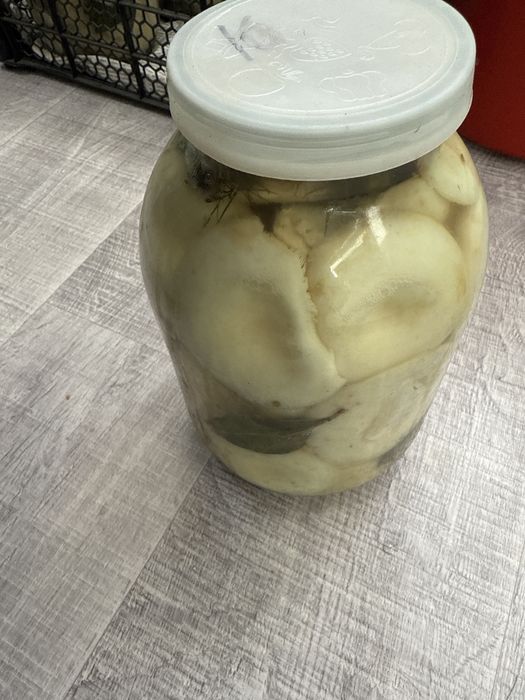 Продается  грибы ГРУЗДИ , Каркаралинский