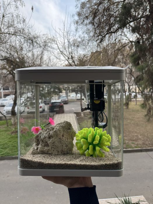 Akvarium siaftli va hamyonbob