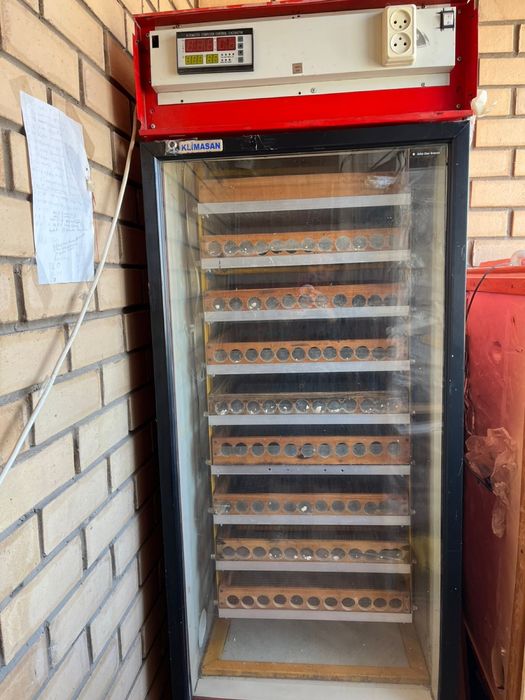 Надежный инкубатор