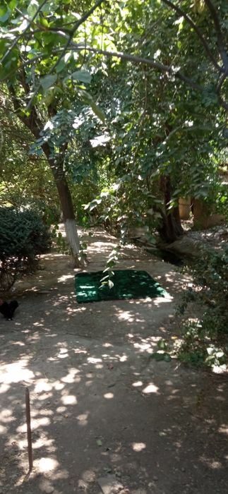 Продается земельный участок в Бектимирском районе