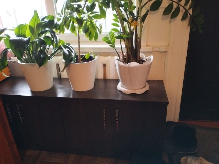 Продам шкаф с тумбой