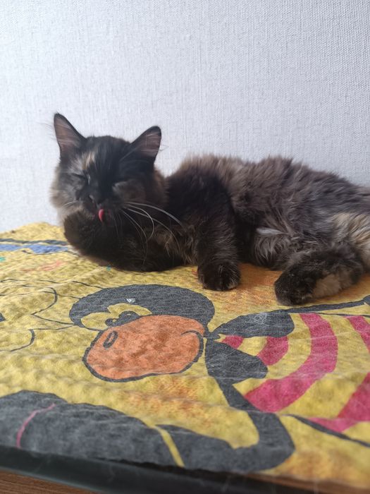 Отдам в хорошие руки