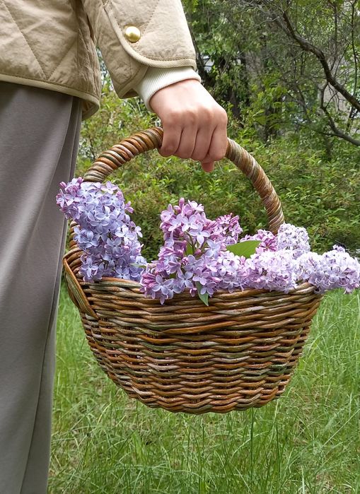 Плетеные корзины