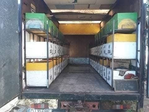 Camion apicol stupii