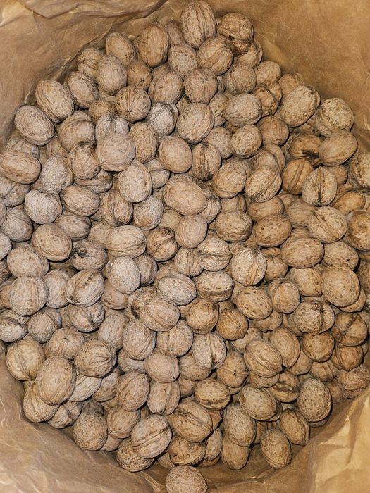 Жаңғақ 550тг сатылады