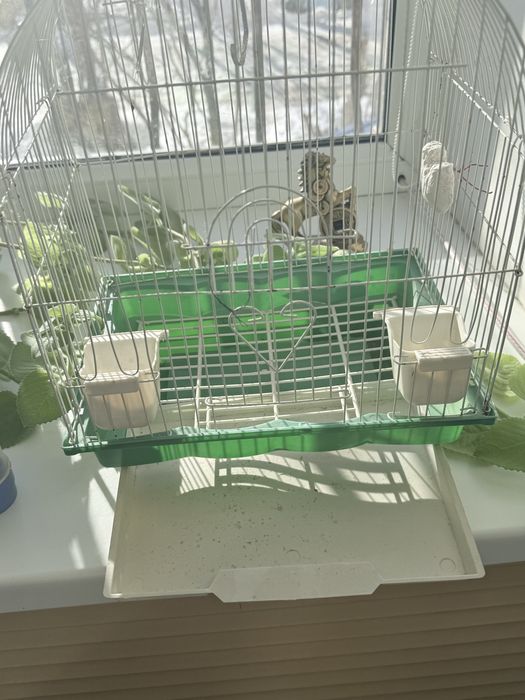 клетка для попугаев