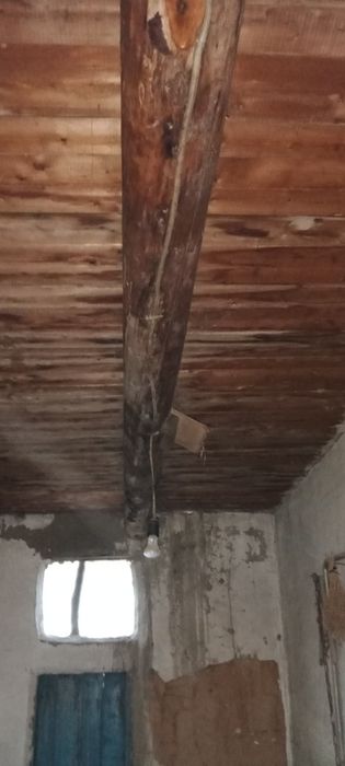 Utin va bolorlar sotiladi srocna