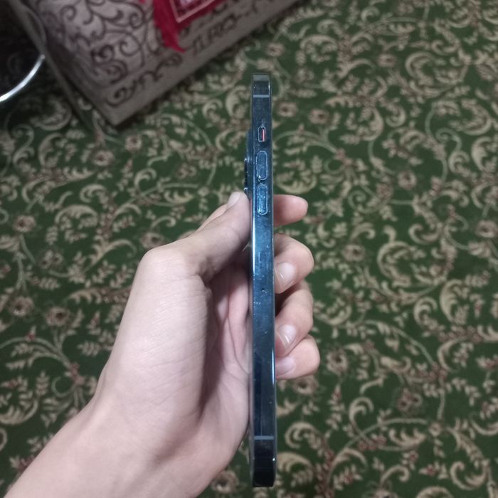 iPhone 12 pro max 256 gb