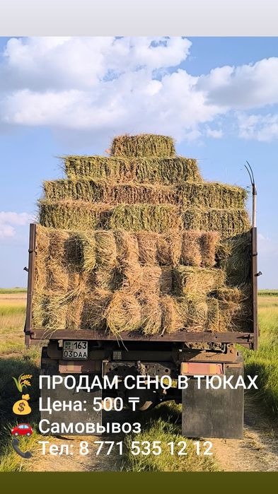 Продам сена в тюках
