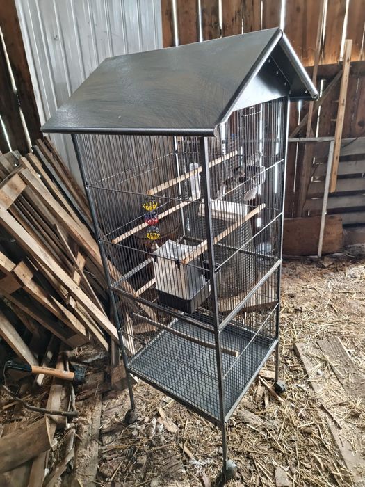 Colivie papagali, oțel