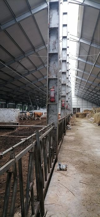 Inchiriez sau vand hala metalica