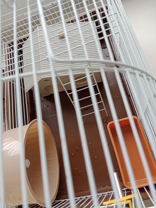 Клетки для хомяка