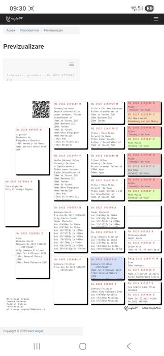 Porumbei voiajori  maraton cu pedigree
