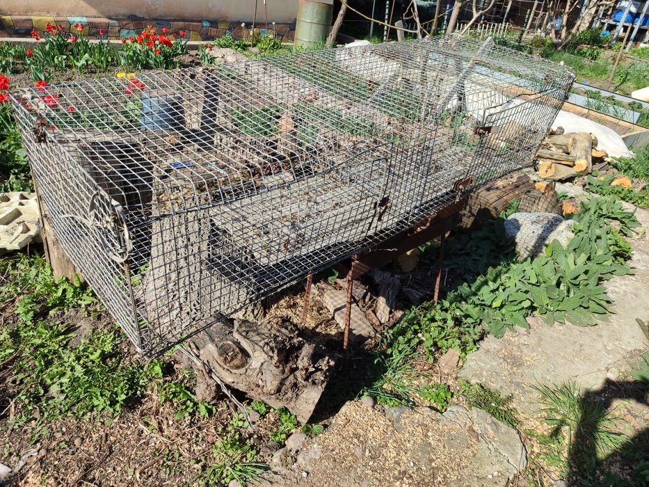 Клетка  для  кур .