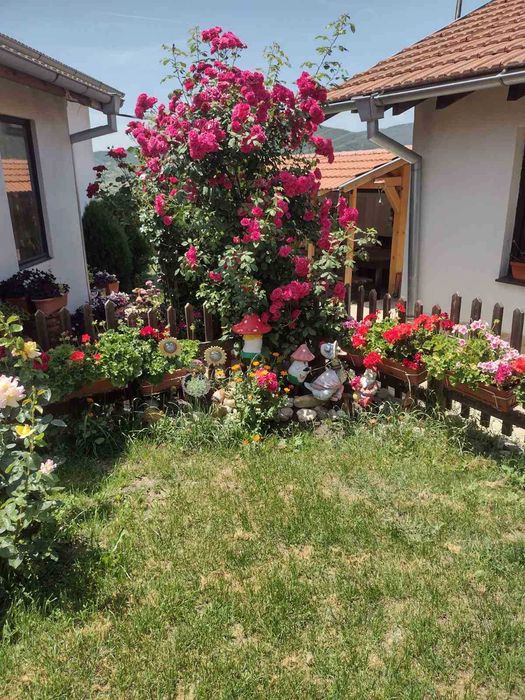 Продава се Къща в Велинград - 165 кв.м за 1200 €/кв.м - Снимка #11