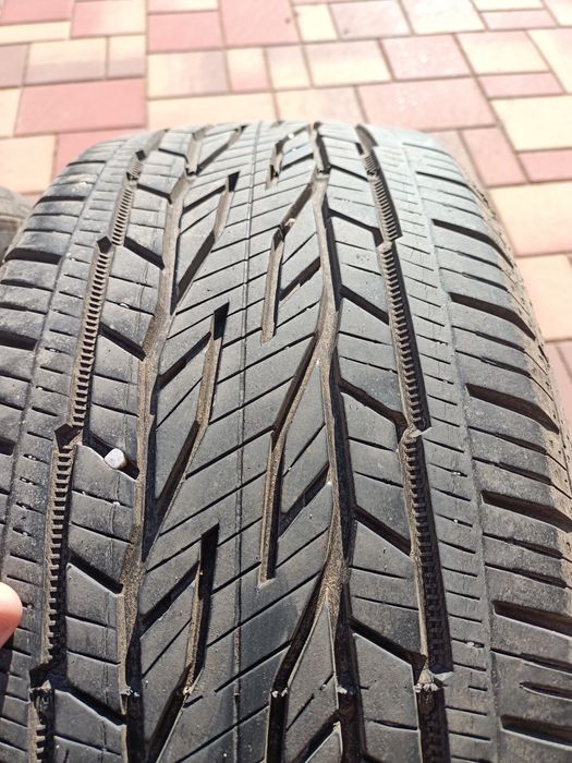 Nyárigumi Continental