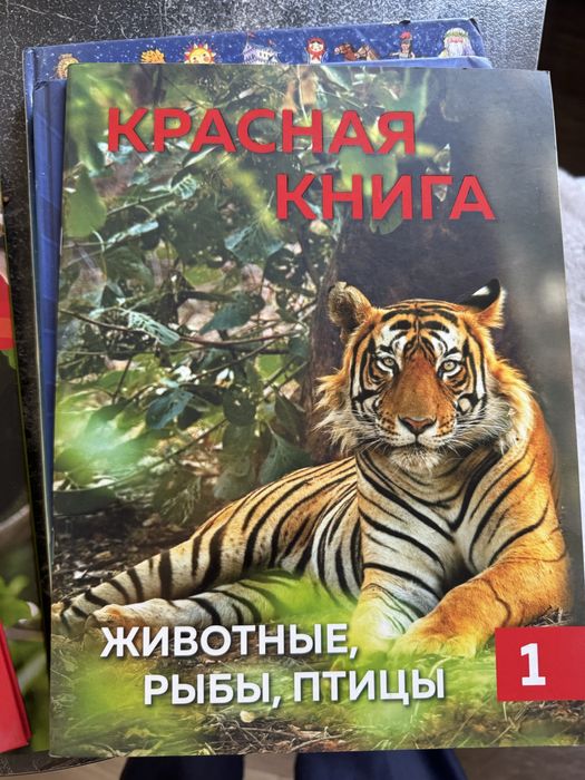 Книги и энциклопедии