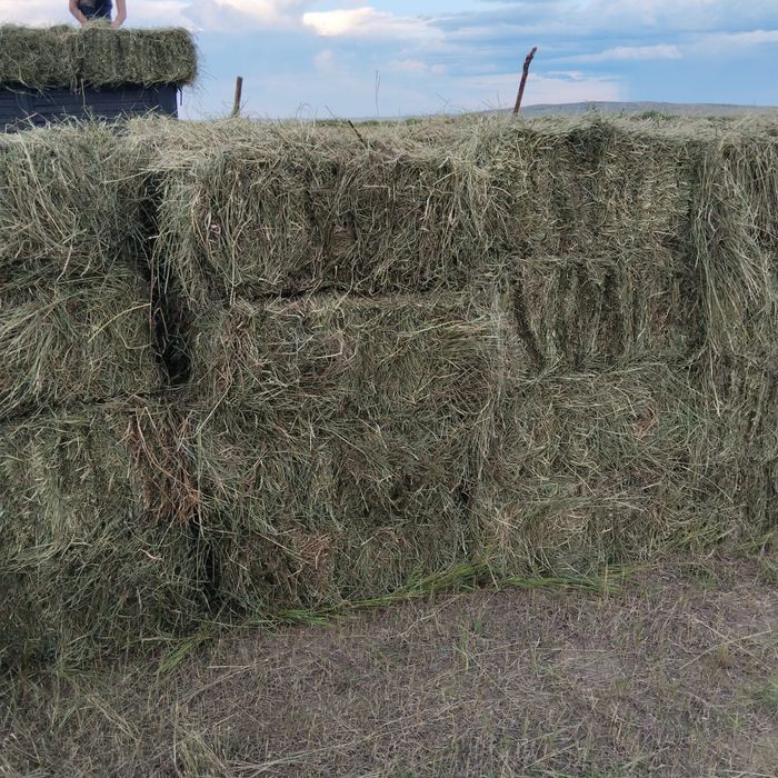 Продается сено в тюках, 1000 тенге