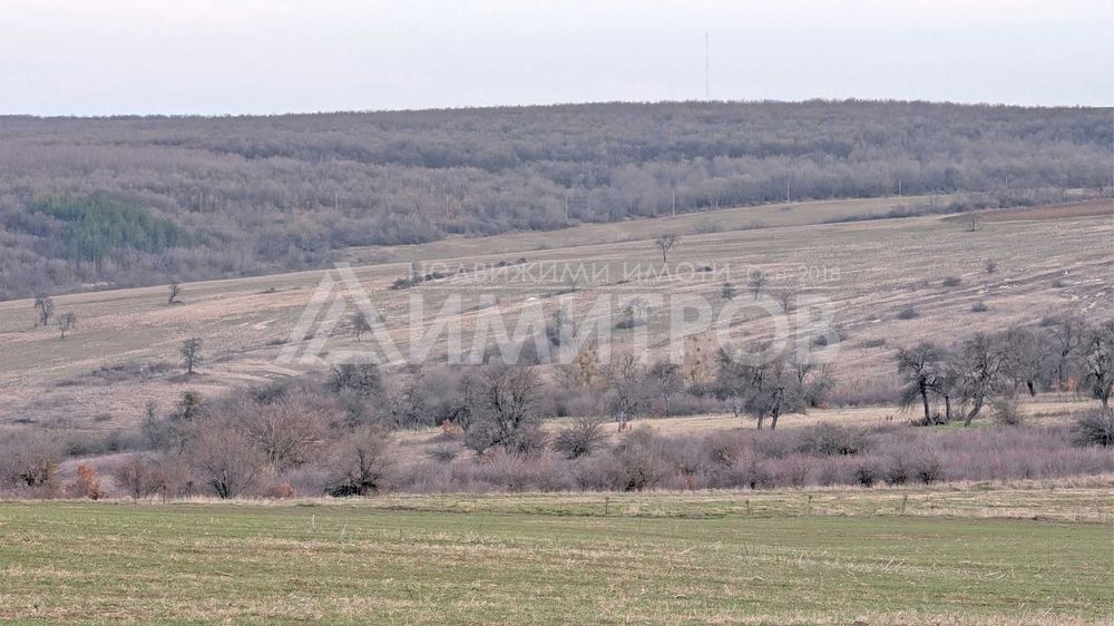 Продава парцел 5 дка в регулация между селата Мировци и Писарево.