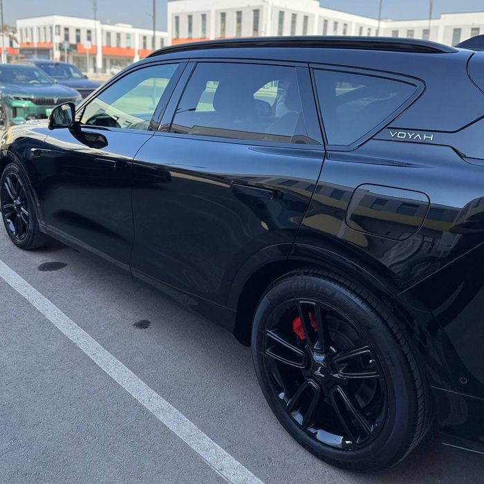 Voyah free Apollo tech 318km 2024/25