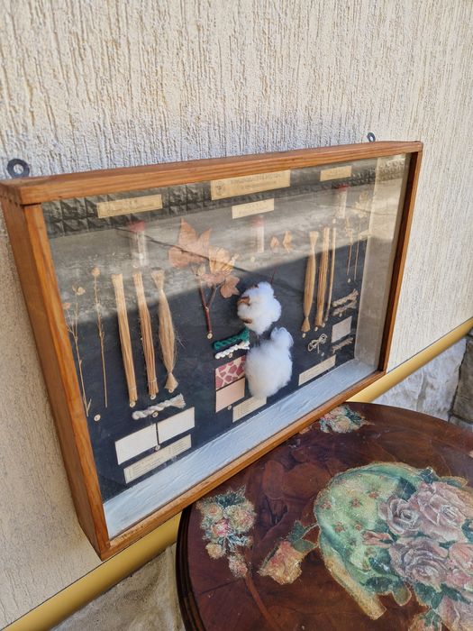 Страхотно антикварно пано - Влакнодайни култури