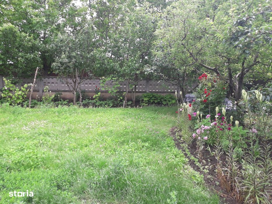 Vând grădină în Târgu Frumos